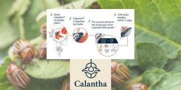 GreenLight Biosciences’ Calantha Marks a Quantum Leap for Sustainable Agriculture