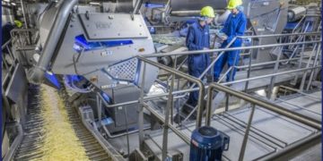 Revolutionizing Potato Processing with Data-Driven Precision