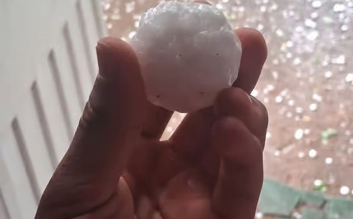 Severe Hailstorms Hit Potato Crops in Southeast Buenos Aires
