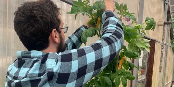 Harnessing DNA Science for Climate-Resilient Varieties