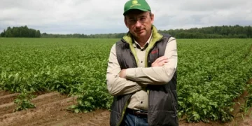 A Tale of Resilience and Innovation in Tver Region