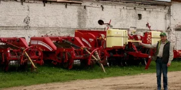 Maximizing Potato Yields: Insights from Innovative Cultivation Methods