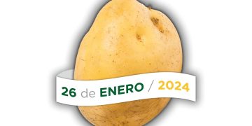 Exploring Innovations and Challenges in Spanish Potato Farming: Insights from the 12th Technical Potato Day in Valladolid