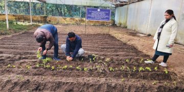 West Bengal Adopts Apical Rooted Cutting for Enhanced Productivity