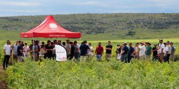 HZPC Latin America Field Day Showcases Dynamic Solutions for Varied Potato Markets