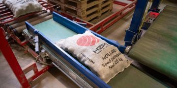 Bright and Smooth: Colomba Potatoes from HZPC Heading to Southern Europe