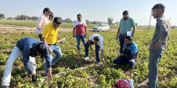 Unlocking the Potential of Potato Processing in North Gujarat: A Sustainable Approach