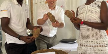 Dieleman Potatoes Leads the Way: Insights on Seed Potato Cultivation and Best Practices