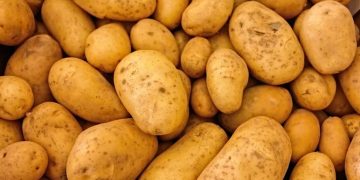 Unveiling the Canadian Potato Landscape: Stock Surges and Sectoral Shifts