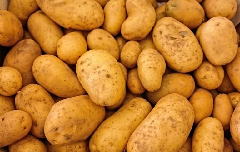 Unveiling the Canadian Potato Landscape: Stock Surges and Sectoral Shifts