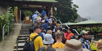 POTATOES NEWS: Join Our Potato Day Expedition in Peru on May 30th!