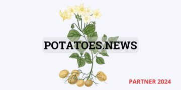 Join Potato News as a Partner in 2024: Expand Your Reach Globally!