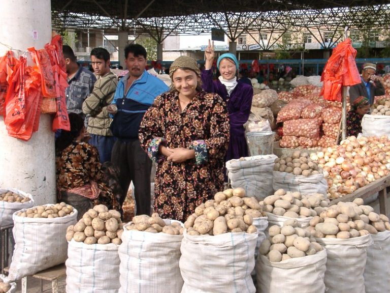 Uzbekistan increased potato production last year 11 Uzbekistan increased potato production last year