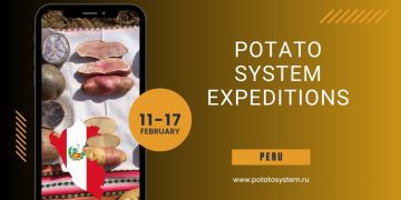 Exploring the Heartland of Potatoes: Expedition to the Origins of Potato in Peru