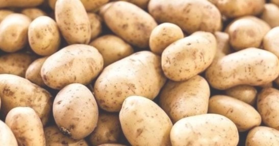 Il Bangladesh importa 400 tonnellate di patate dall'India
