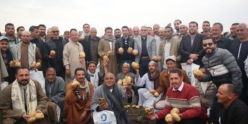 Domiatec Agri-Group Hosts Successful Harvesting Field Day for “Sound” Potato Variety
