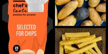 Title: The Chef’s Taste ORANGE: Revolutionizing the Chipping Potato Industry