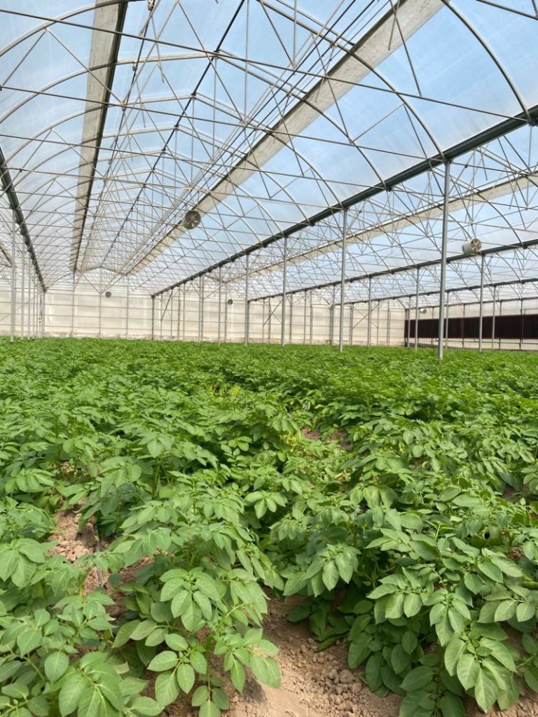 Mohammad Khosas Vision: Die Landwirtschaft durch Innovation verändern