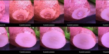 Protecting Potatoes: A Lesson in Care from Frank Mulcahy