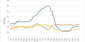 Tightening Supply Drives Dutch Processing Potato Prices to Record Highs