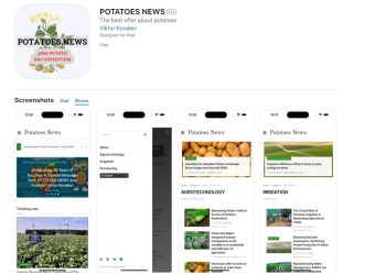 POTATOES NEWS Mobile App