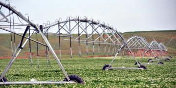 Selecting a Center Pivot Sprinkler Package for Efficient Irrigation