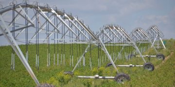 World Water Day: The Potato’s Role in Sustainable Agriculture