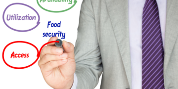 The Future of Potatoes: A Reliable Staple for Tomorrow’s Food Security?