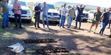 Boosting Potato Yields: Insights from a Successful Technical Conference in Buenos Aires