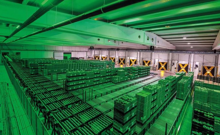 Revolutionizing Potato Production: The Dynamic Partnership of Patatas Meléndez and Mecalux