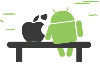 Potatoes News: Your Ultimate Source for Spud-Related Updates