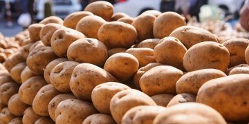 Weather Woes Shake Potato Prices in Brazil: Insights and Implications