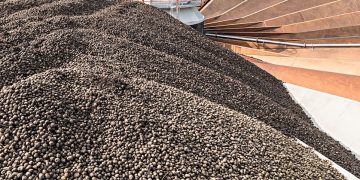 Insights from Royal Avebe’s 2023-2024 Potato Campaign