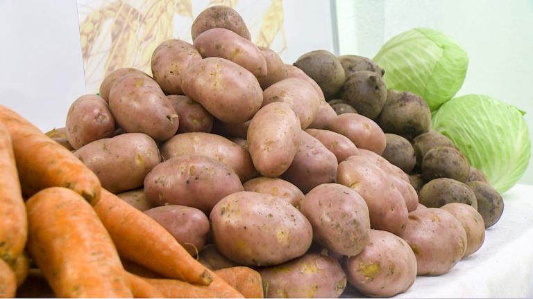 A list of prohibited Russian and Belarusian products has been approved in Latvia 4 A list of prohibited Russian and Belarusian products has been approved in Latvia