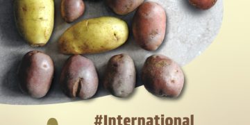 Harnessing Potato Diversity: The International Day of Potato 2024 Webinar