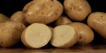 Meeting Demand: The Enduring Appeal of Maris Piper Potatoes