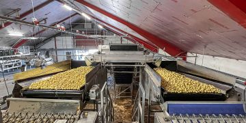 Maximizing Efficiency: Introducing Skals Evenflow Excellence