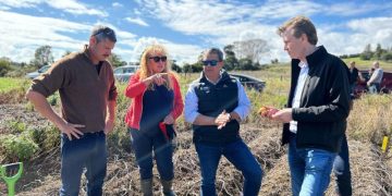 Innovative Farming Practices: Enhancing Sustainability in New Zealand Agriculture