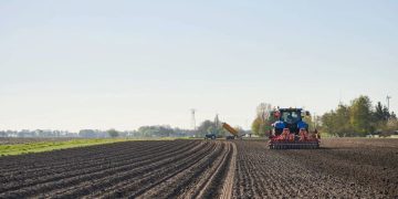 Capture the Essence of Planting Season: Royal Avebe’s Photo Contest