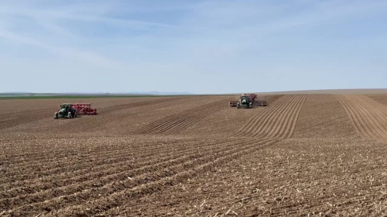 Revolutionerande plantering: New Allan 12-rads plantering sätter ribban högt