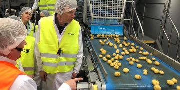 Innovating Sustainability: Potato Processing Plant in Poland Sets a Circular Example