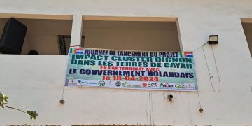 Enhancing Potato Crop Management: Insights from the Onion Impact Cluster Project