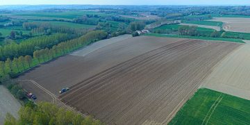 Celebrating Earth Day: Pomuni’s Commitment to Sustainable Potato Production