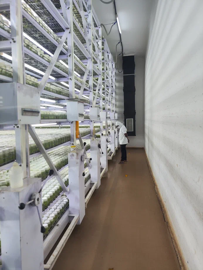 Innovating Agriculture: KF Group's Legacy of Excellence in Seed Potato Production and Biotechnology Advancements 35 Innovating Agriculture: KF Group’s Legacy of Excellence in Seed Potato Production and Biotechnology Advancements