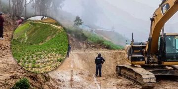Peruvian government supports potato production