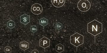 Updating Nutrient Management (RB209) Project: Optimizing Fertilizer Recommendations for Modern Agriculture