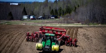 Revolutionizing Potato Planting: Spudnik’s Foldable 12-Row Planter