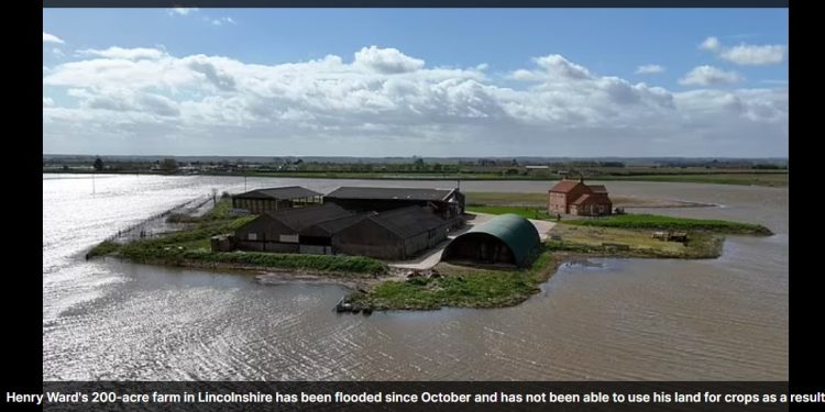 Record Rainfall in Britain Leads to Soaring Potato Prices and Food Shortages
