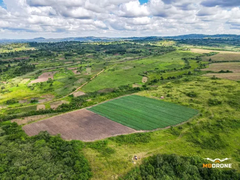 Kilimo Kisasa drone photo