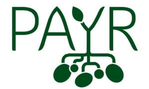 PAYR Joins Europatat: Strengthening the Finnish Potato Sector’s Voice